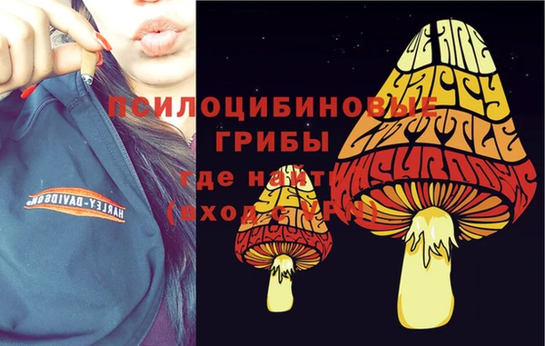 jwh Армянск