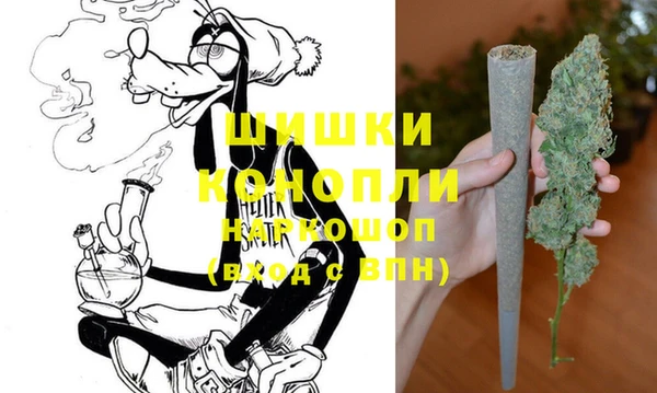 PSILOCYBIN Аркадак
