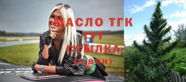 мдпв Пестово