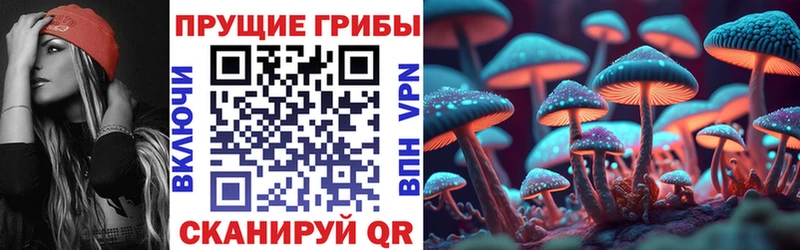 Псилоцибиновые грибы GOLDEN TEACHER  mega онион  Сибай 